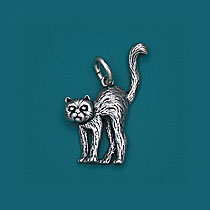 Katze